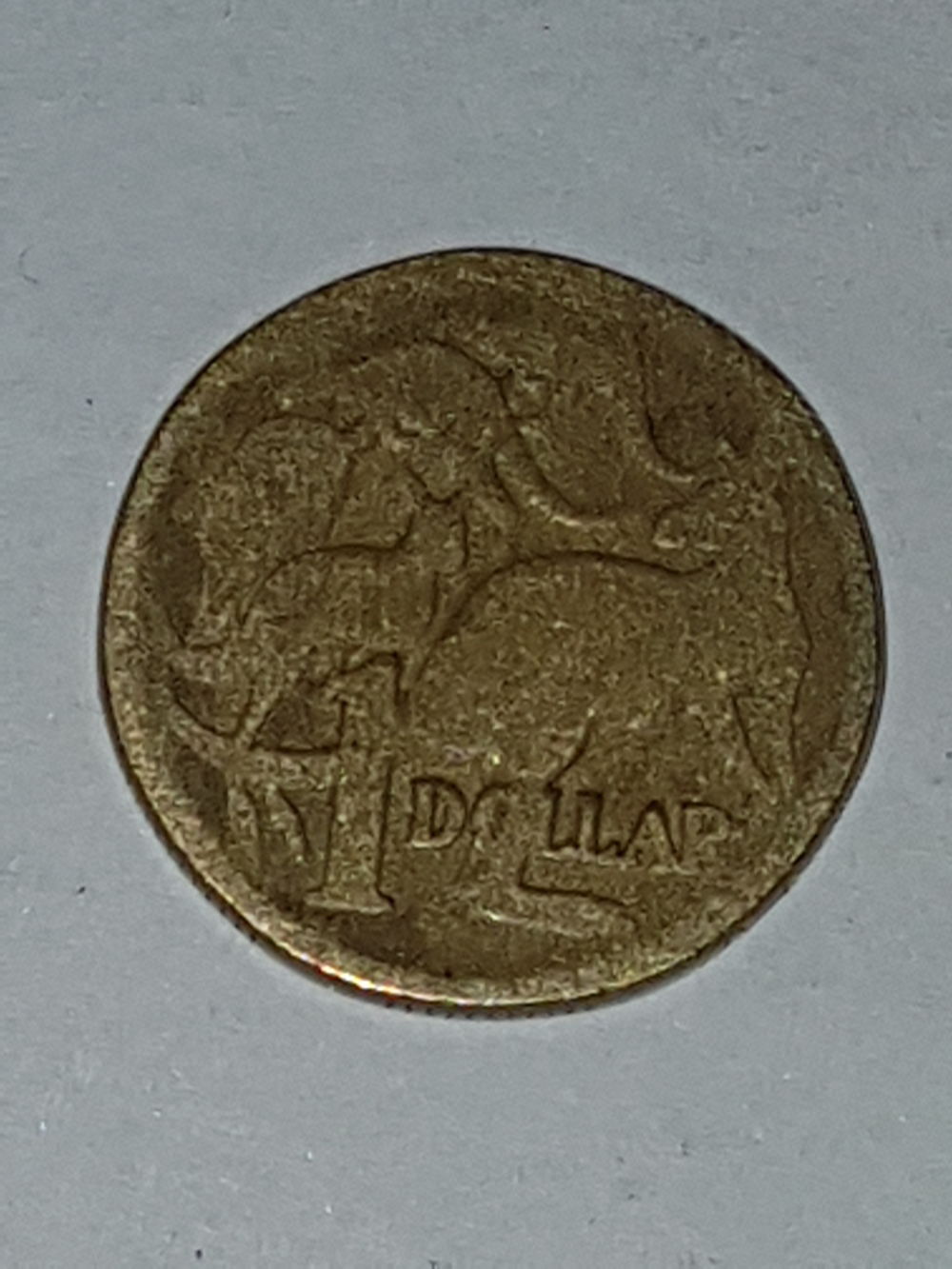 Strange-$1dollar-Coin
